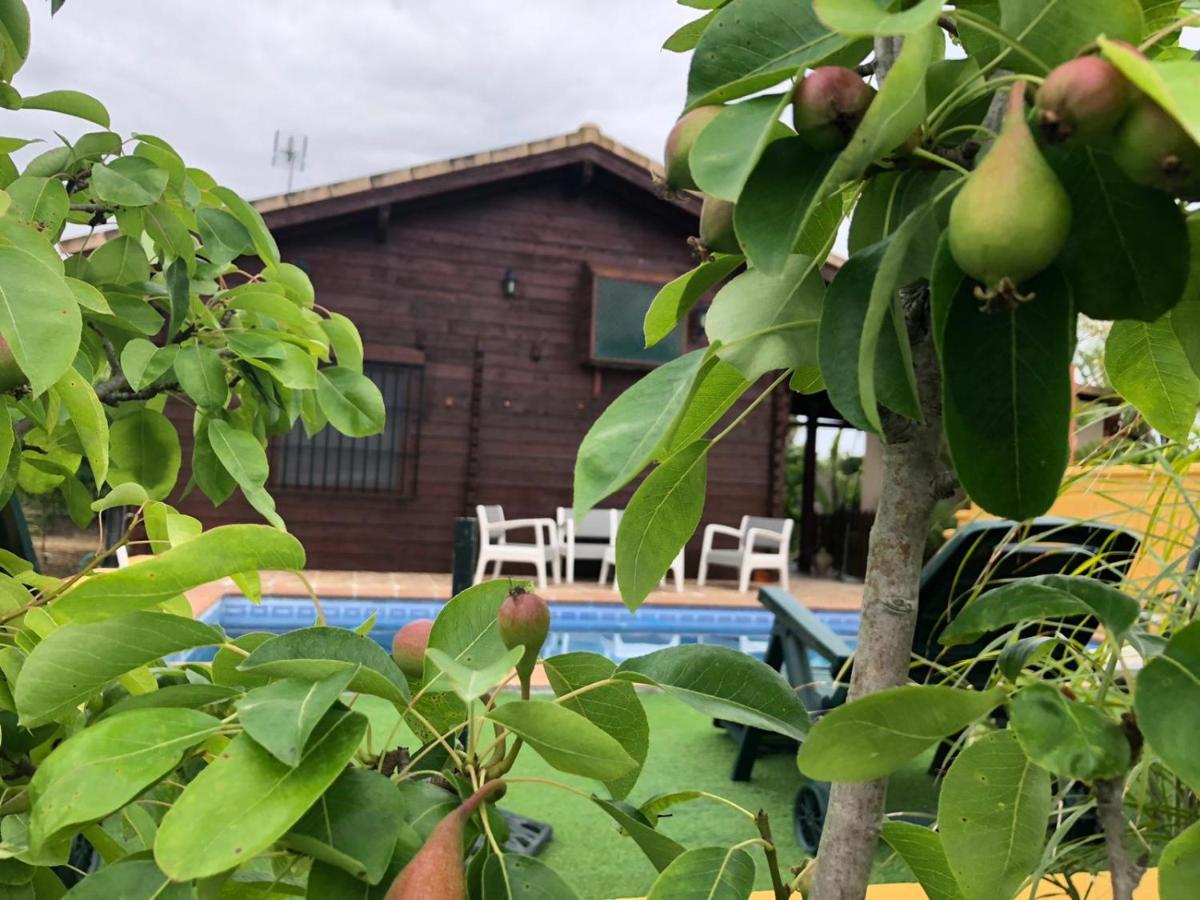 فيلا Casa De Madera El Oasis El Palomar إشبيلية المظهر الخارجي الصورة